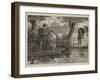 His Favourite Pool-Percy Robert Craft-Framed Giclee Print