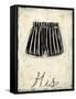 His- French Silk-Chariklia Zarris-Framed Stretched Canvas