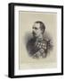 His Late Royal Highness Prince Leopold, Duke of Albany-null-Framed Giclee Print