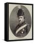 His Majesty Frederick Vii, the Late King of Denmark-null-Framed Stretched Canvas