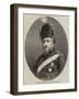 His Majesty Frederick Vii, the Late King of Denmark-null-Framed Giclee Print