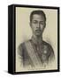 His Majesty the King of Siam-null-Framed Stretched Canvas