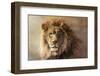 His Majesty-Kalon Baughan-Framed Art Print