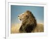 His Majesty-null-Framed Art Print