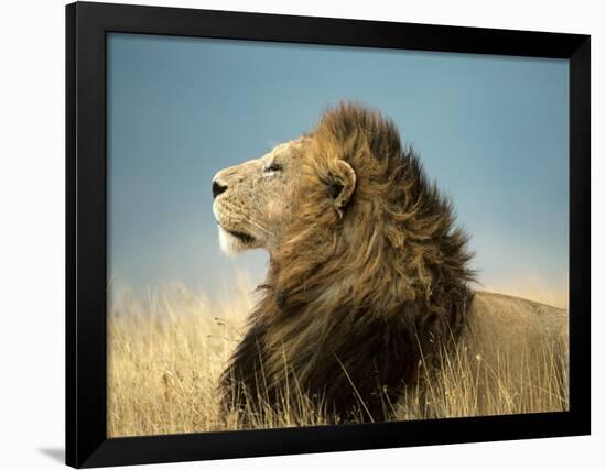 His Majesty-null-Framed Art Print