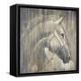 His Majesty-Liz Jardine-Framed Stretched Canvas