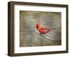 His Red Glory Cardinal-Jai Johnson-Framed Giclee Print