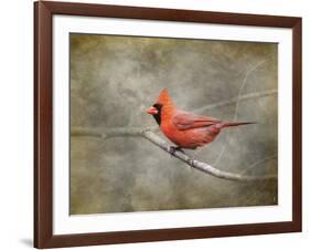 His Red Glory Cardinal-Jai Johnson-Framed Giclee Print