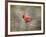 His Red Glory Cardinal-Jai Johnson-Framed Giclee Print