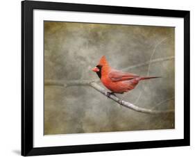 His Red Glory Cardinal-Jai Johnson-Framed Giclee Print