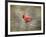 His Red Glory Cardinal-Jai Johnson-Framed Giclee Print