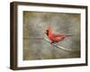 His Red Glory Cardinal-Jai Johnson-Framed Giclee Print