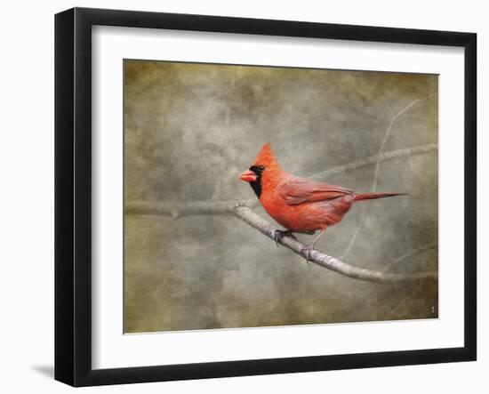 His Red Glory Cardinal-Jai Johnson-Framed Giclee Print