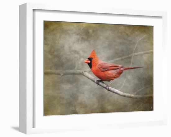 His Red Glory Cardinal-Jai Johnson-Framed Giclee Print