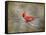 His Red Glory Cardinal-Jai Johnson-Framed Stretched Canvas