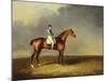His Royal Highness, the Prince of Wales' Bay Racehorse 'sir David' by 'Trum-Henry Bernard Chalon-Mounted Giclee Print