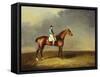 His Royal Highness, the Prince of Wales' Bay Racehorse 'sir David' by 'Trum-Henry Bernard Chalon-Framed Stretched Canvas