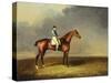 His Royal Highness, the Prince of Wales' Bay Racehorse 'sir David' by 'Trum-Henry Bernard Chalon-Stretched Canvas