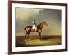 His Royal Highness, the Prince of Wales' Bay Racehorse 'sir David' by 'Trum-Henry Bernard Chalon-Framed Giclee Print