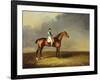 His Royal Highness, the Prince of Wales' Bay Racehorse 'sir David' by 'Trum-Henry Bernard Chalon-Framed Giclee Print