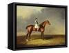 His Royal Highness, the Prince of Wales' Bay Racehorse 'sir David' by 'Trum-Henry Bernard Chalon-Framed Stretched Canvas