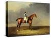 His Royal Highness, the Prince of Wales' Bay Racehorse 'sir David' by 'Trum-Henry Bernard Chalon-Stretched Canvas