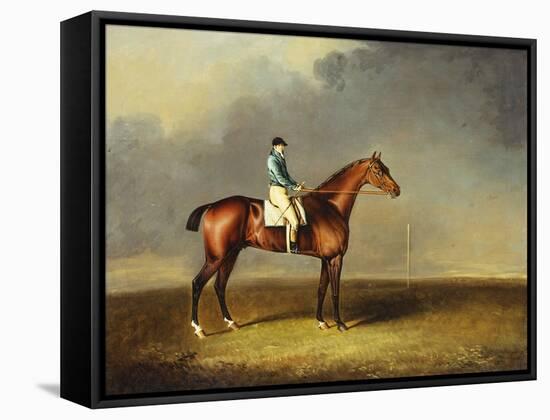His Royal Highness, the Prince of Wales' Bay Racehorse 'sir David' by 'Trum-Henry Bernard Chalon-Framed Stretched Canvas