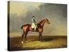 His Royal Highness, the Prince of Wales' Bay Racehorse 'sir David' by 'Trum-Henry Bernard Chalon-Stretched Canvas