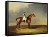 His Royal Highness, the Prince of Wales' Bay Racehorse 'sir David' by 'Trum-Henry Bernard Chalon-Framed Stretched Canvas