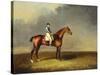 His Royal Highness, the Prince of Wales' Bay Racehorse 'sir David' by 'Trum-Henry Bernard Chalon-Stretched Canvas