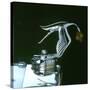 Hispano Suiza Stork Mascot-null-Stretched Canvas