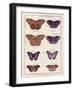 Histoire Naturelle 1-Terrence Wesley-Framed Art Print