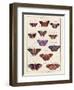 Histoire Naturelle 2-Terrence Wesley-Framed Art Print