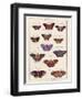 Histoire Naturelle 2-Terrence Wesley-Framed Art Print