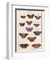 Histoire Naturelle 2-Terrence Wesley-Framed Art Print