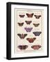 Histoire Naturelle 2-Terrence Wesley-Framed Art Print