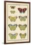 Histoire Naturelle Butterflies II-null-Framed Art Print