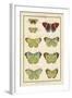 Histoire Naturelle Butterflies II-null-Framed Art Print