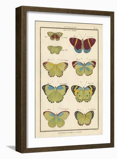 Histoire Naturelle Butterflies II-null-Framed Art Print