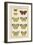 Histoire Naturelle Butterflies II-null-Framed Art Print