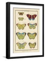 Histoire Naturelle Butterflies II-null-Framed Art Print