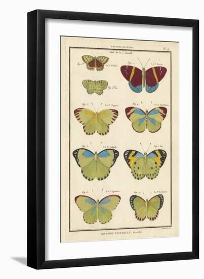 Histoire Naturelle Butterflies II-null-Framed Art Print