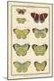 Histoire Naturelle Butterflies II-null-Mounted Art Print