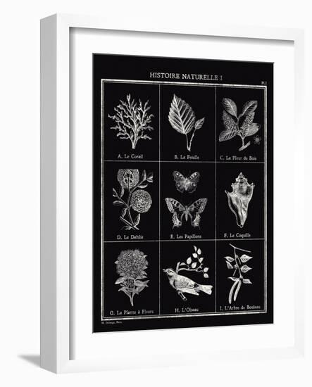 Histoire Naturelle I-Maria Mendez-Framed Giclee Print