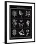 Histoire Naturelle I-Maria Mendez-Framed Giclee Print