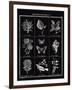 Histoire Naturelle I-Maria Mendez-Framed Giclee Print