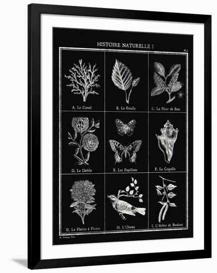 Histoire Naturelle I-Maria Mendez-Framed Giclee Print