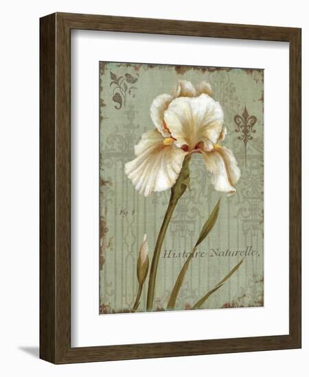 Histoire Naturelle I-Daphne Brissonnet-Framed Art Print