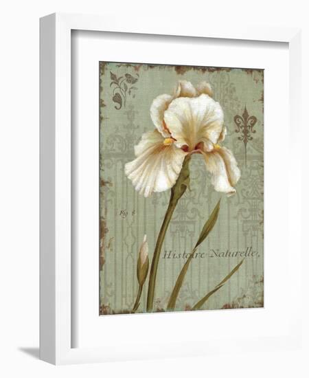 Histoire Naturelle I-Daphne Brissonnet-Framed Art Print