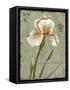 Histoire Naturelle I-Daphne Brissonnet-Framed Stretched Canvas